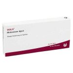 Meteoreisen Inject Ampullen (10X1 ml)