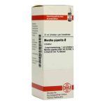 Mentha Piperita Urtinktur (20 ml)