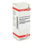 Mercurius Cyanatus D 6 Dilution (20 ml)