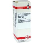 Mercurius Jodat. Flavus D 12 Dilution (20 ml) 