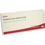 MEMBRANA SINUS MAXI GL D 8, 10X1 ML 