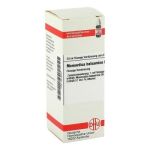Momordica Balsamina D 2 Dilution (20 ml)