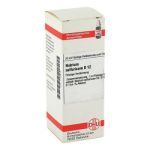 Natrium Sulfuricum D 12 Dilution (20 ml)