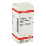 Myrtillocactus D 2 Tabletten (80 stk)