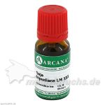 NAJA TRIPUDIANS ARCA LM 30, 10 ML 