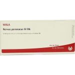 NERVUS PERONAEUS GL D 6, 10X1 ML