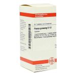 Panax Ginseng D 12 Tabletten (80 stk)