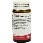 OXALIS E PLANTA TOTA D 6, 20 G