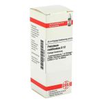Petroleum Rectif. D 12 Dilution (20 ml)
