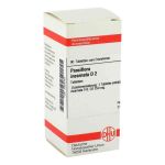 Passiflora Incarnata D 2 Tabletten (80 stk)