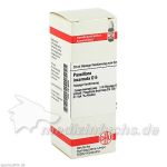 PASSIFLORA INCARNATA D 6, 20 ML