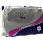 PARAM LADIES Inkontinenzvorlagen Mini+, 16 ST