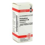 Phellandrium Aquaticum C 30 Globuli (10 g)