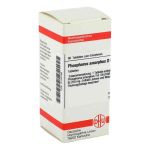 Phosphorus Amorph. D 6 Tabletten (80 stk)