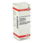 Phellandrium Aquaticum D 4 Dilution (20 ml)