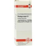 Plantago Major D 1 Dilution (20 ml)