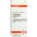 Phellandrium Aquaticum D 4 Tabletten (80 stk)