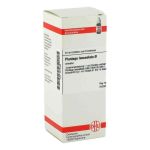 Plantago Lanceol. Urtinktur (50 ml)