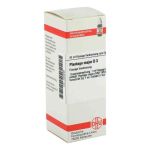 Plantago Major D 3 Dilution (20 ml)