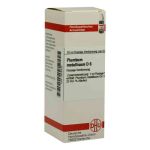 Plumbum Met. D 6 Dilution (20 ml)