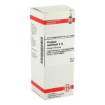Plumbum Met. D 12 Dilution (50 ml)