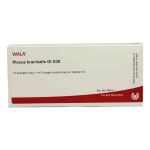 Plexus Brachialis Gl D 30 Ampullen (10X1 ml)