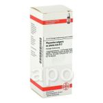 Phaseolus Vulg. ex planta tota D 2 Dilution (50 ml)