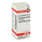 Phosphorus Amorph. C 30 Globuli (10 g)