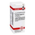 Plantago Major D 4 Globuli (10 g)