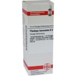 Plantago Lanceol. D 3 Dilution (20 ml)