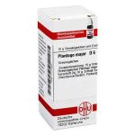 Plantago Major D 6 Globuli (10 g)