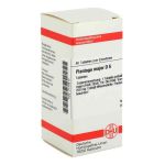 Plantago Major D 6 Tabletten (80 stk)