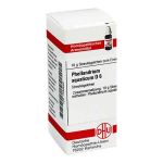 Phellandrium Aquaticum D 6 Globuli (10 g)