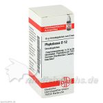 PHYTOLACCA D12, 10 G