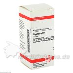 PHYTOLACCA D 4, 80 ST