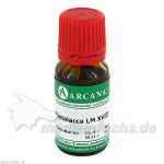 PHYTOLACCA ARCA LM 18, 10 ML