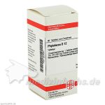 PHYTOLACCA D12, 80 ST