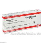 PHOSPHORUS D 12 Ampullen, 10X1 ML