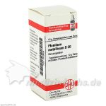 PLUMBUM MET D30, 10 G