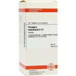 PLUMBUM MET D12, 200 ST