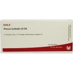 PLEXUS LUMBALIS GL D 8, 10X1 ML