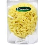 Pharmadies Naturbadeschwamm Set, 1 ST