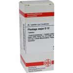 PLANTAGO MAJOR D12, 80 ST
