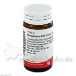 PHOSPHORUS D12, 20 G