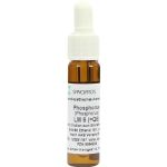 Phosphorus LM6, 9 ML