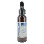 PROFOLLICA Haarstimulator Extrakt, 59 ML
