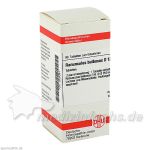 RANUNCULUS BULB D12, 80 ST