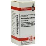 RANUNCULUS BULBOSUS D30, 10 G