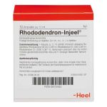 Rhododendron Injeel Ampullen (10 stk)