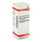 Rhus Tox. D 6 Dilution (20 ml)